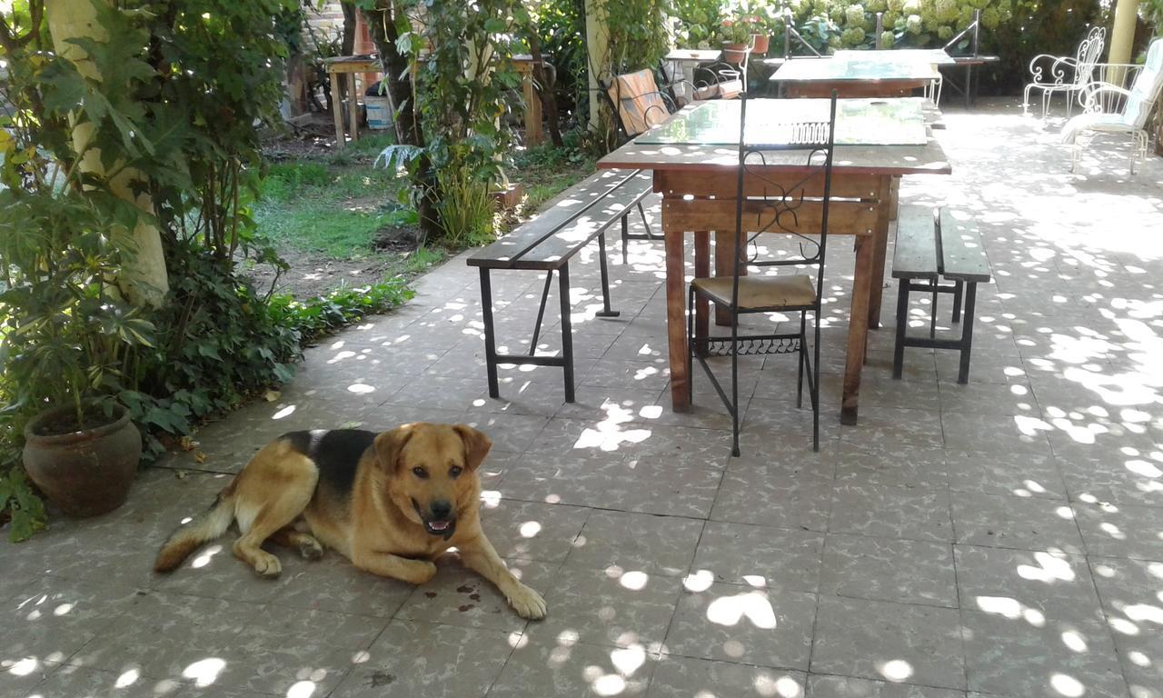 Puerta Del Sol Molina B&B 외부 사진